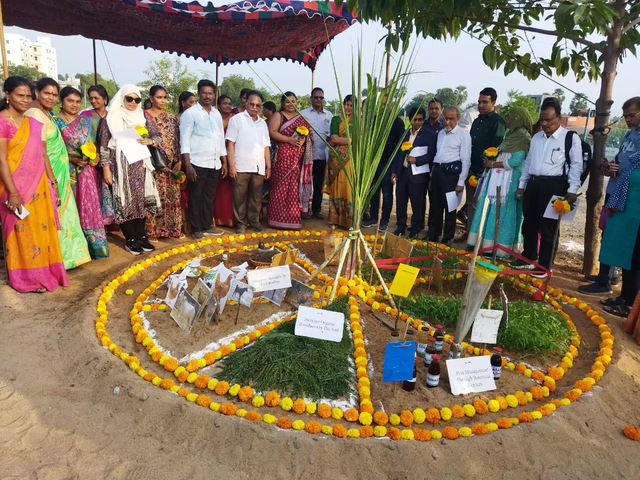 AP’s community managed natural farming attracts Bangladesh