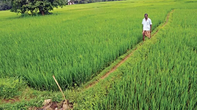 Bangladeshi Delegation Impressed by Elurus Natural Farming Practices