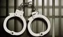 Two Members of Chhenu Gang Nabbed from North Delhis Kashmiri Gate