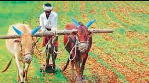 Rs 3,246 Crore Rythu Bandhu Remitted to 54.6 L Farmers