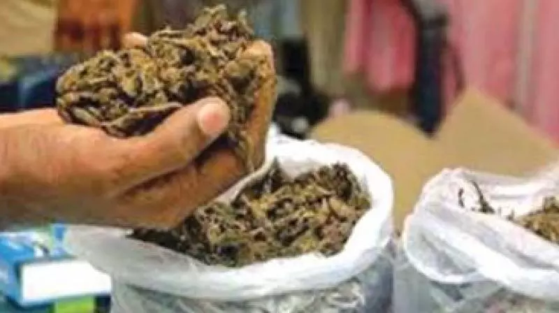 Tirupati Police Crackdown On Ganja Peddlers