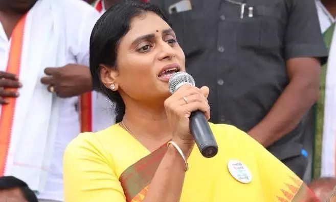 Why is Chandrababu Naidu tight-lipped on special category status for Andhra, asks YS Sharmila