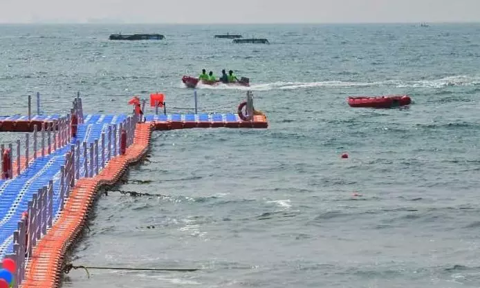 Huge Moray Eel Fish Lands on Vizag Beach