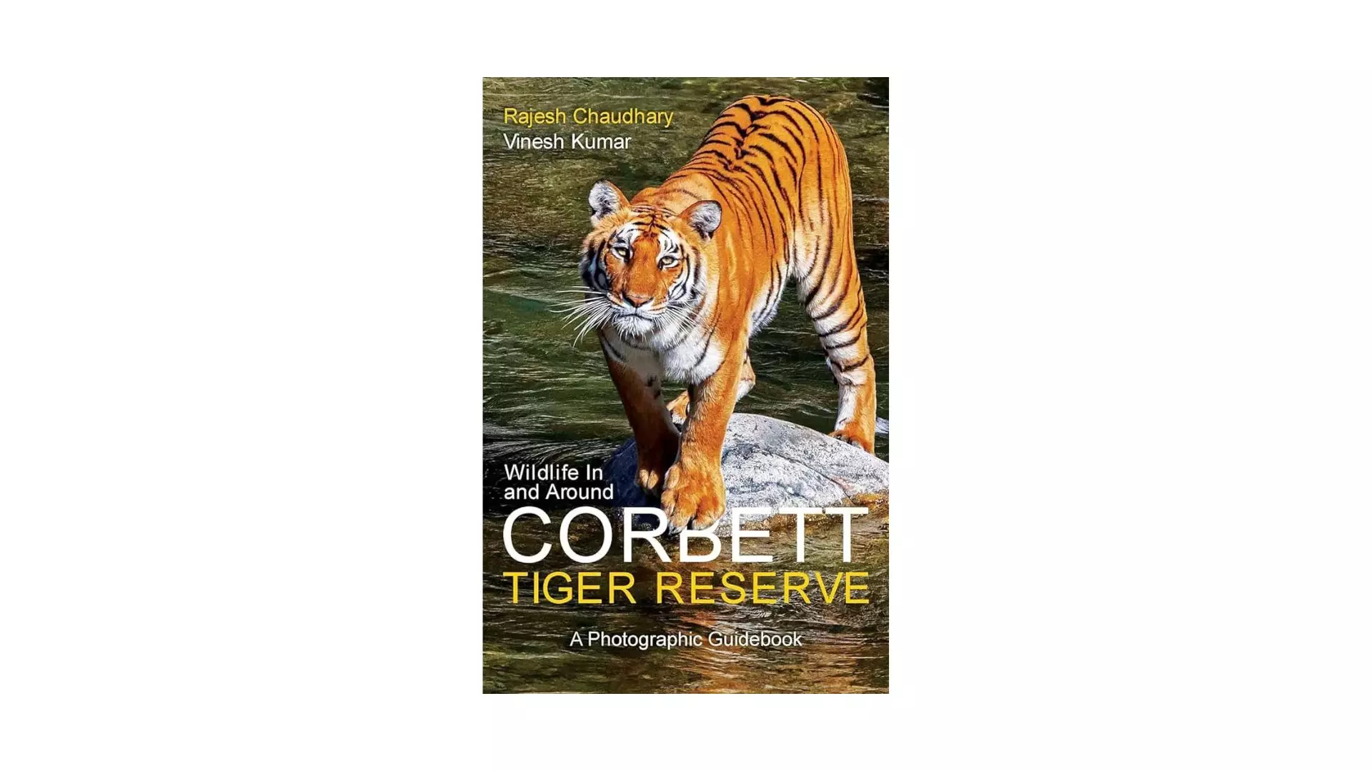 Why not seeing a tiger at Corbett no disaster