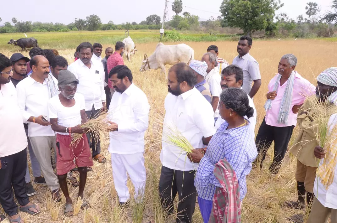 Government Neglecting Drought Hit Farmers: Jagadish Reddy