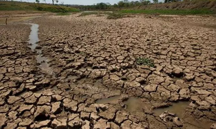 Inter-ministerial Team Visits Kurnool to Assess Drought