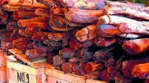 Red Sanders Smuggler Nabbed, 51 Logs Seized