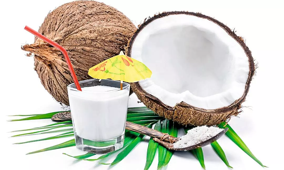 Coconut Kefir: For a Stronger Immune System