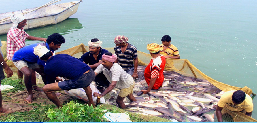 Tamil fishermen's arrest by Sri Lankan Navy: Stalin writes to Jaishankar