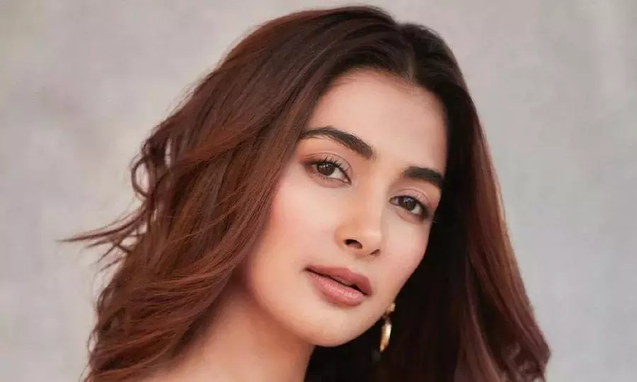 Pooja Hegde not doing Tillu Qube?