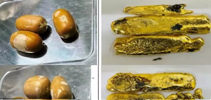 DRI sleuths seize 3.77 gold, stunned at modus operandi of traffickers