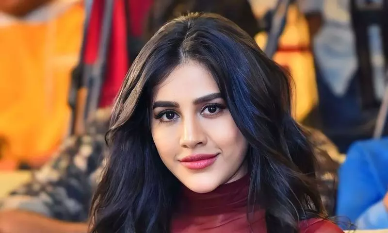 Nabha Natesh plans to revive her career