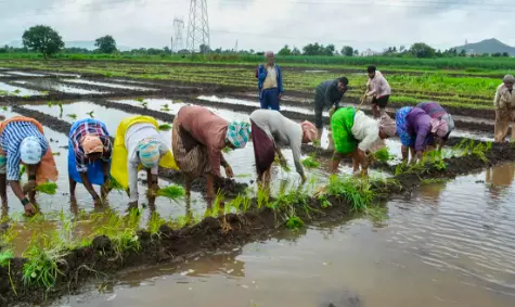 Monsoon dependency of Kharif in a decline