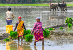 Protesting farmers demand government to procure paddy