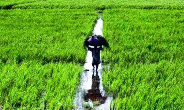 Rains Help Farmers to Start Agri-related Activity