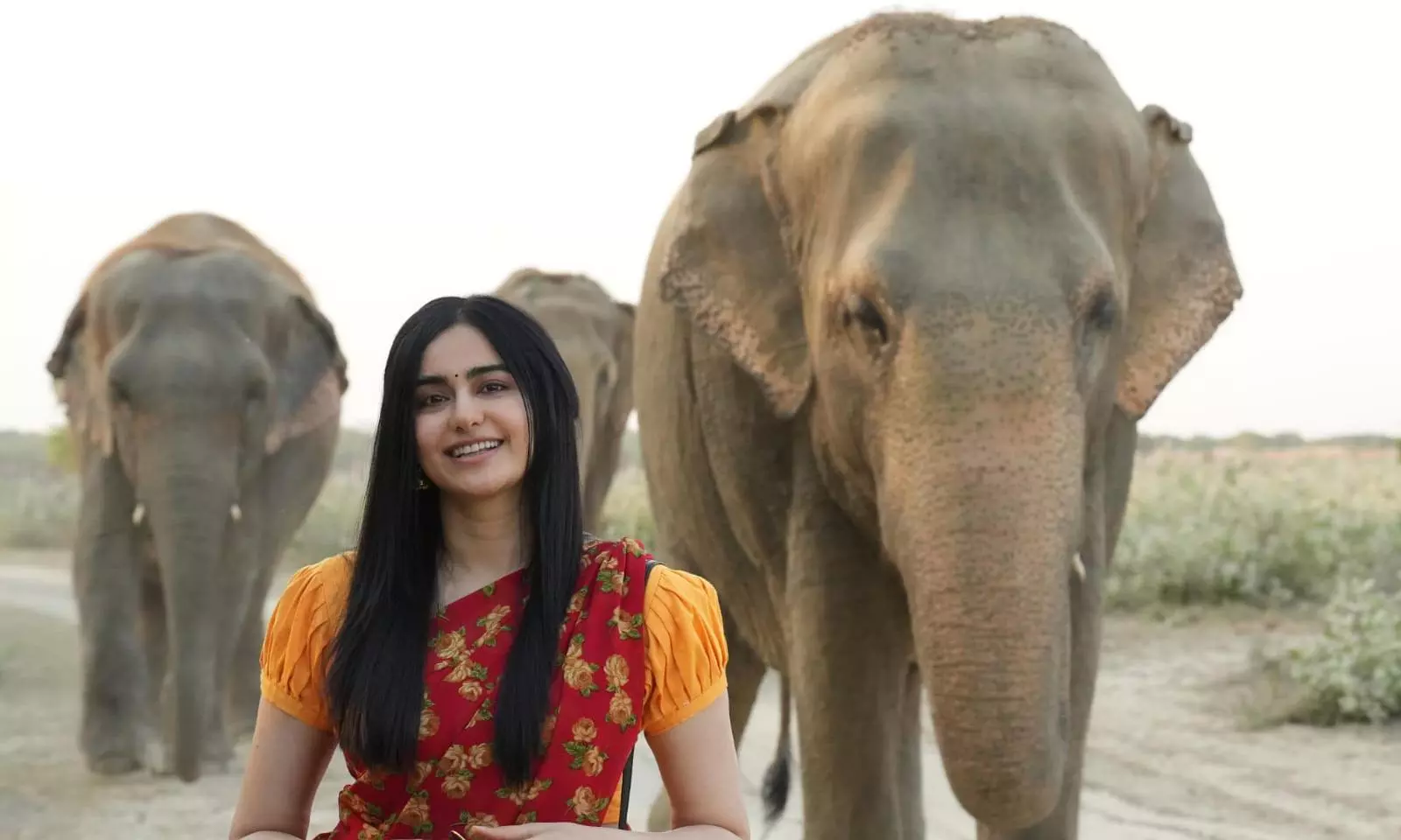 Adah Sharma joins hands with Wildlife SOS for abused elephants