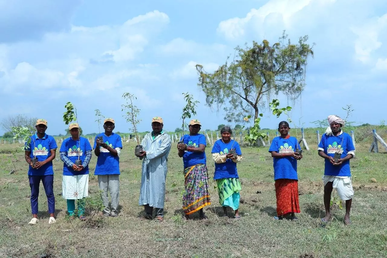 50K trees to restore the natural habitat of displaced species in Telangana