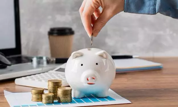 Revival in Household Savings Likely in FY24, Says Crisil