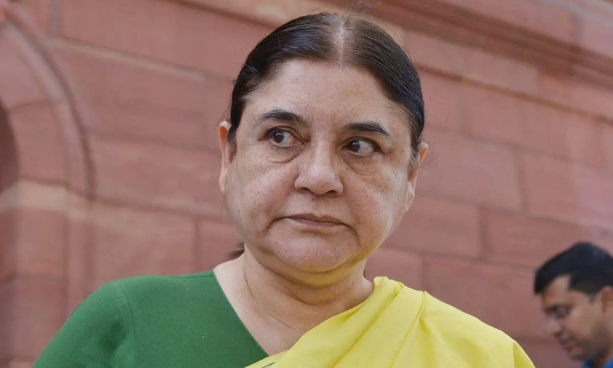 BJPs Maneka Gandhi locked in a Keen contest against SPs RB Nishad in Sultanpur