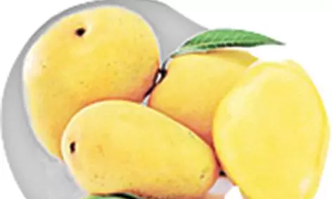 Mango Mania : 4 Must-Try Summer Treats