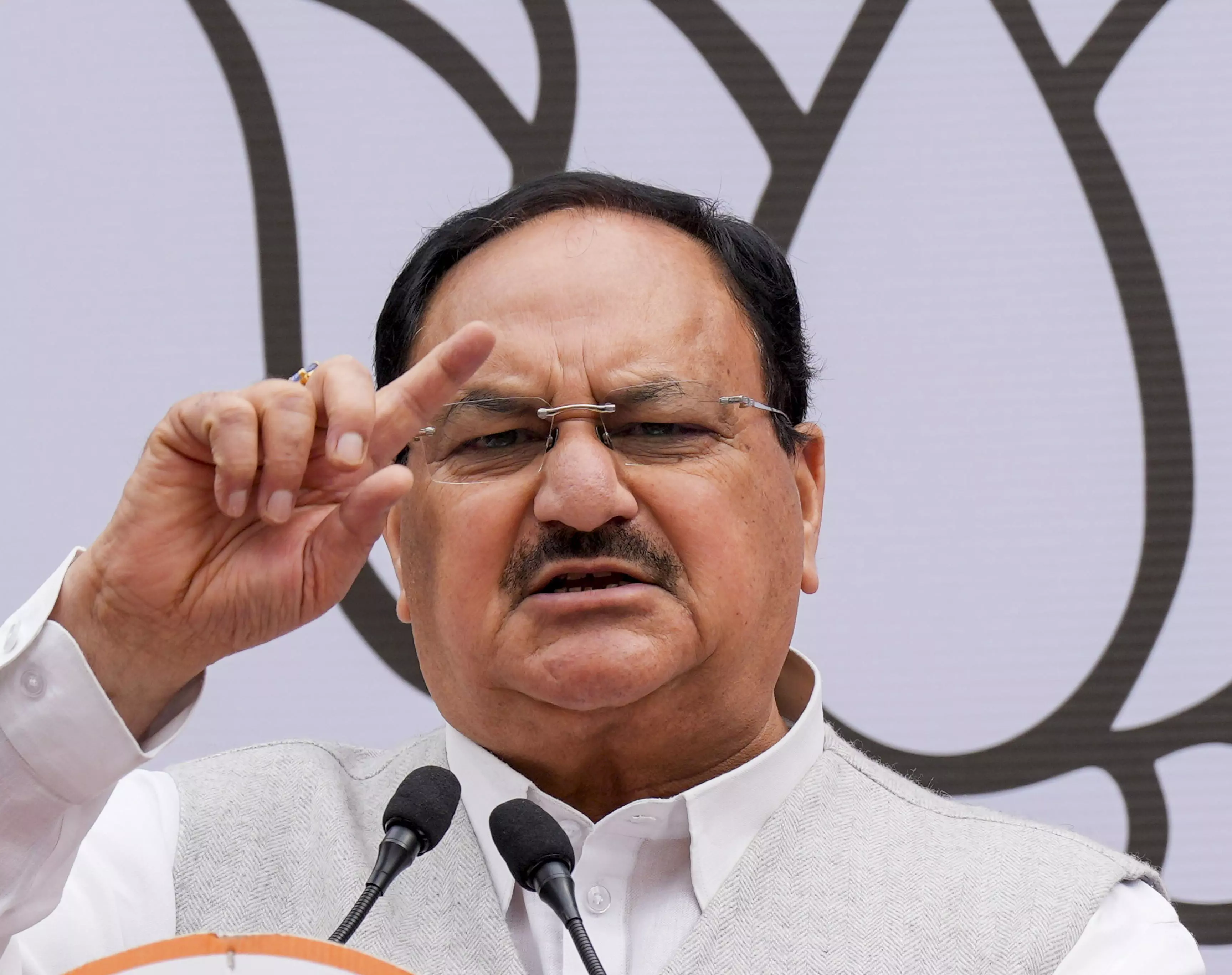 BJP Accuses Opposition INDIA Bloc of Appeasement Politics on Reservation Issue