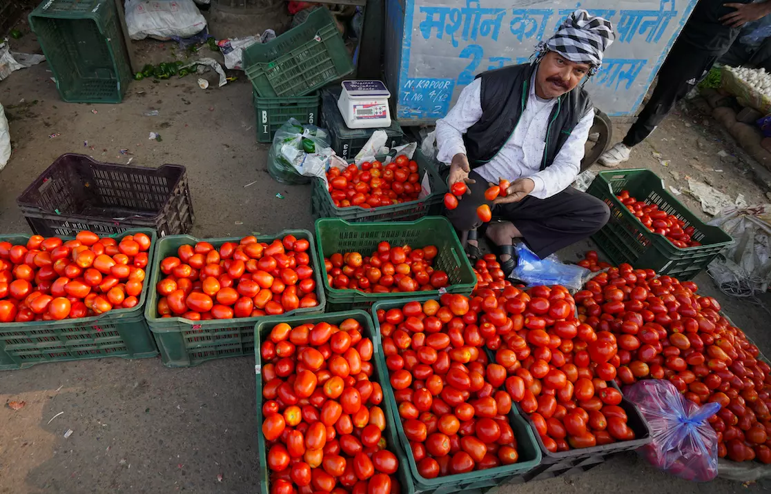 Windfall for Chittoor tomato farmers as prices surge