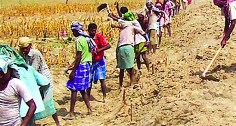 PVTGs to get MGNREGA wages for full week