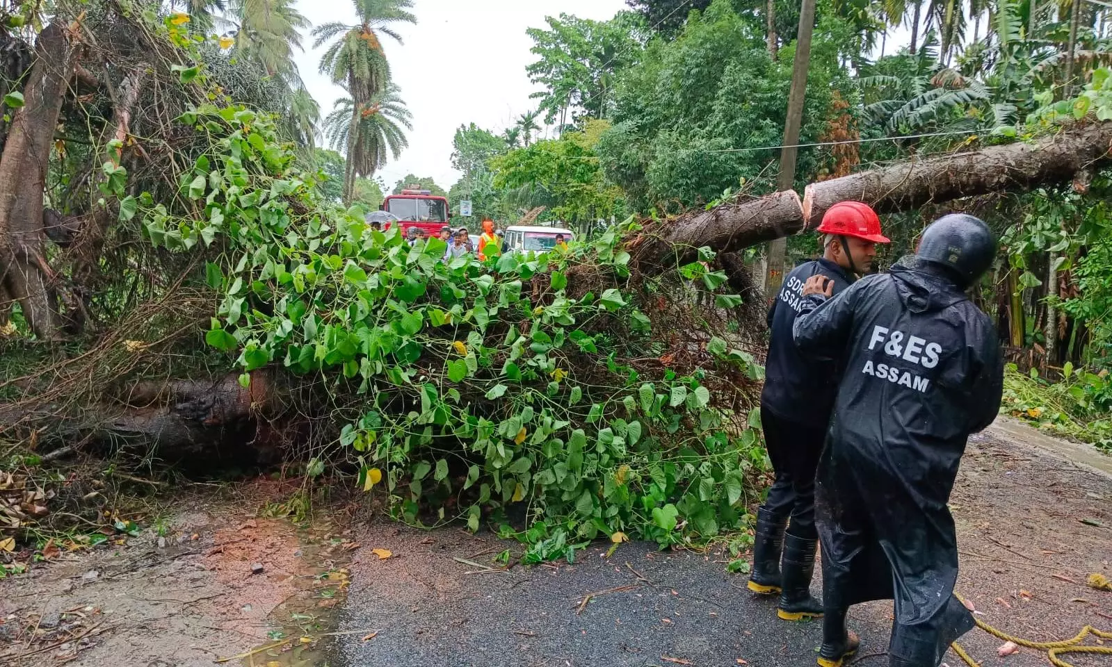 Remal Triggers Deadly Landslides in Northeast, 23 Killed in Mizoram Quarry Collapse