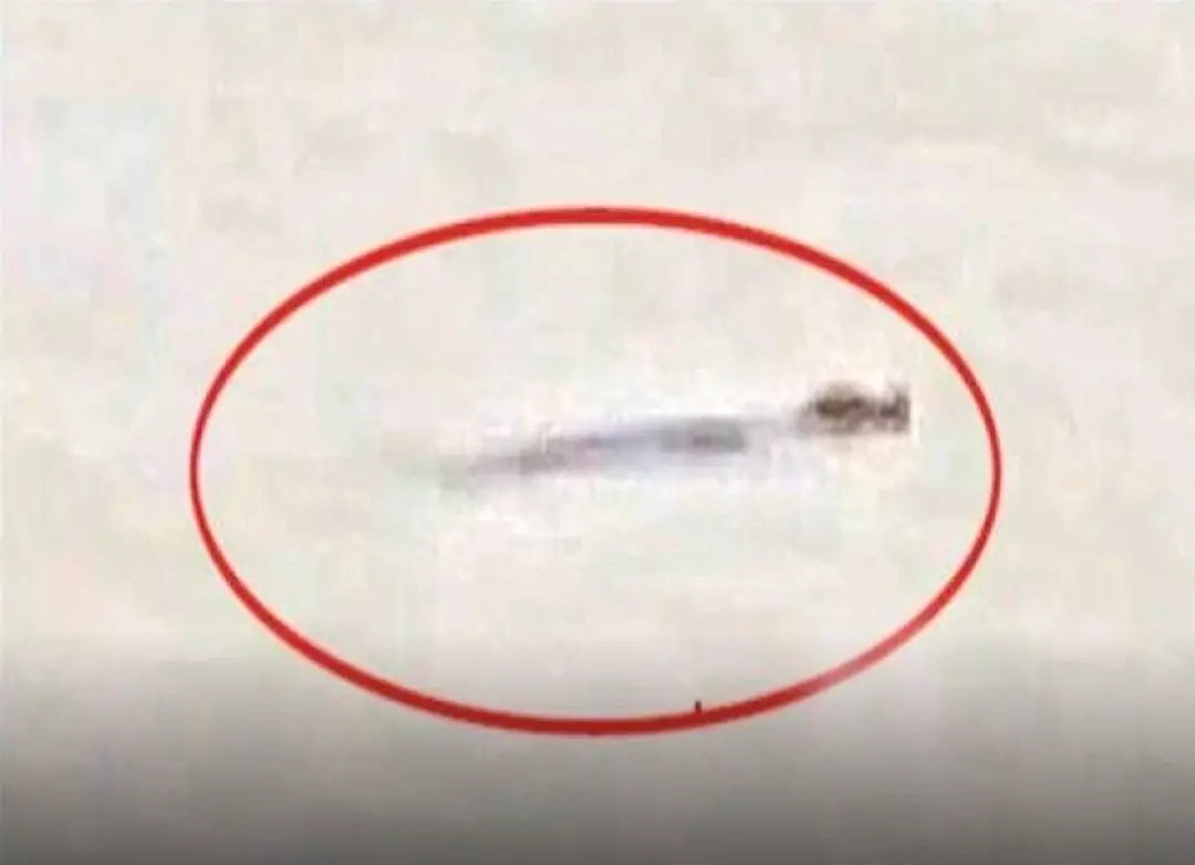 Crocodile spotted in Tungabhadra at Nandavaram