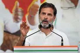 Martin Luther King Jr., Mandela, Einstein took inspiration from Mahatma Gandhi: Rahul Gandhi