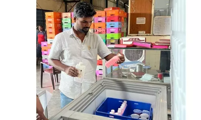 Fungal Infestation, No Licence to Manufacture Buttermilk: Food Safety Raids in Hanamkonda and Rangareddy