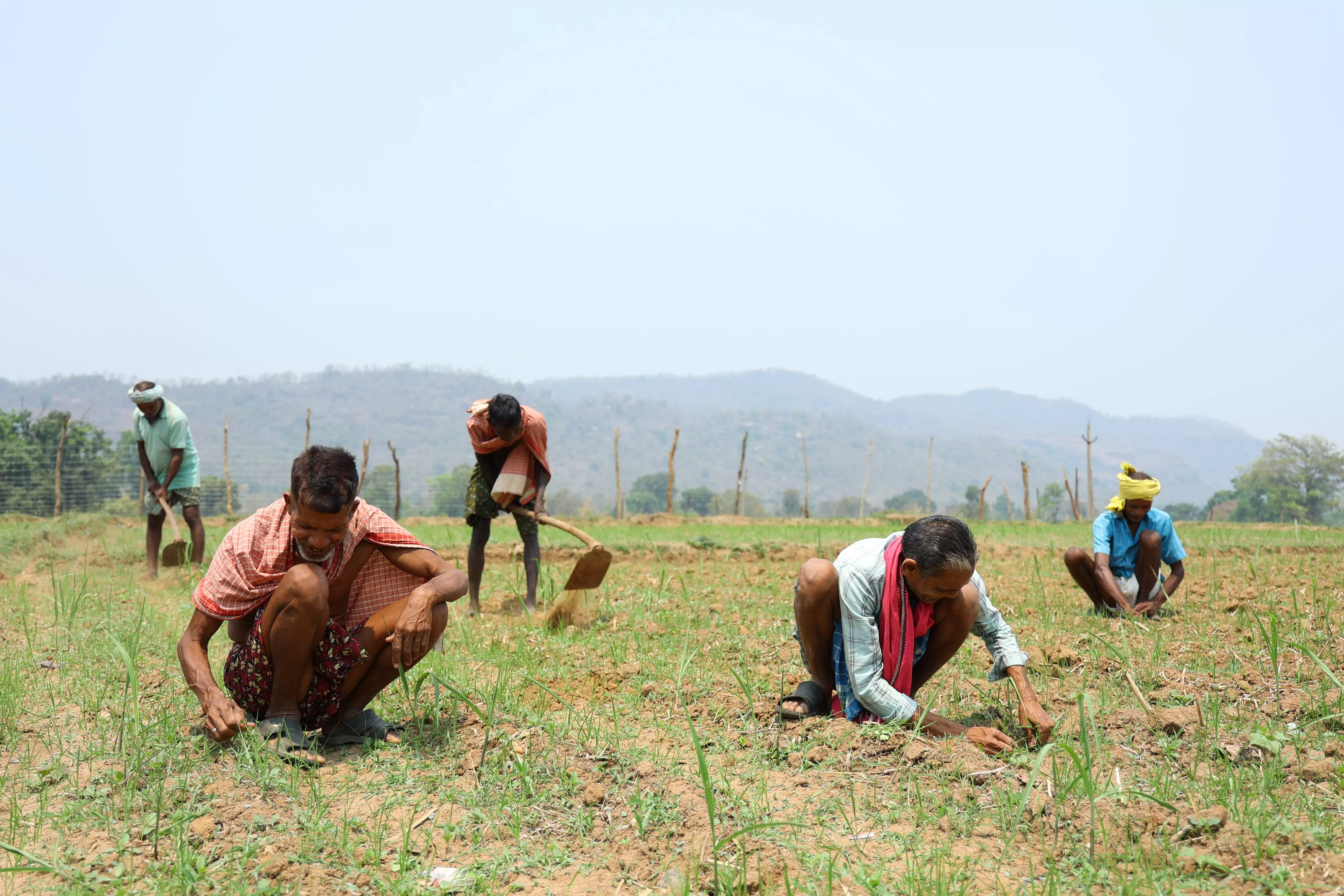 Telangana: Farmers Elated Over 2nd Phase of Loan Waiver