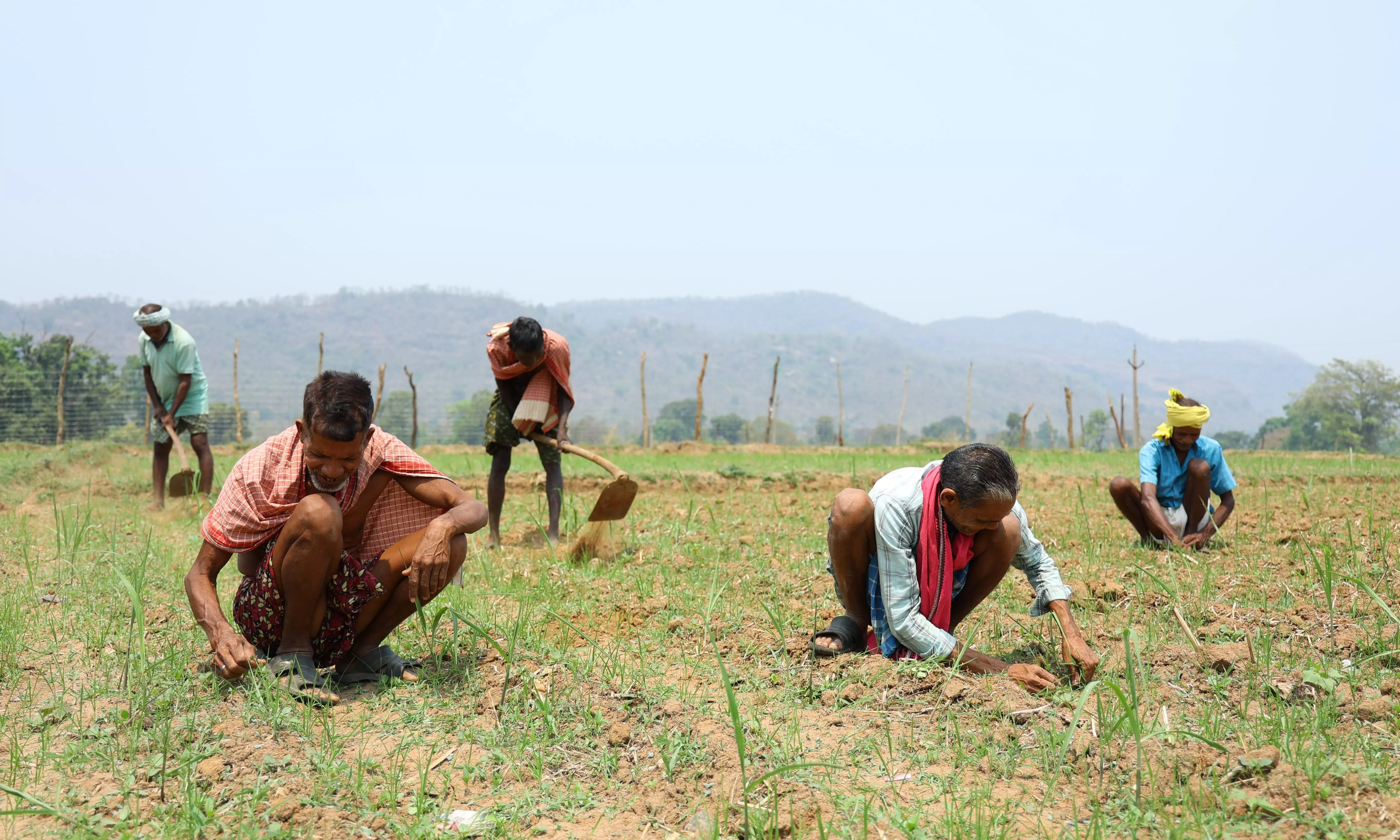 Climate-Resilient Livelihood Project Launched In Rural Odisha to Support 20k People in 5 yrs