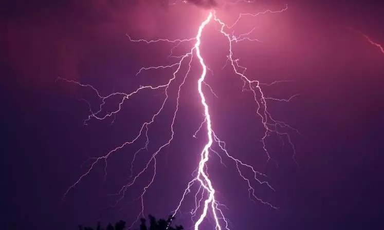 Lightning in ASR District Strikes Man, 22 Livestock Dead