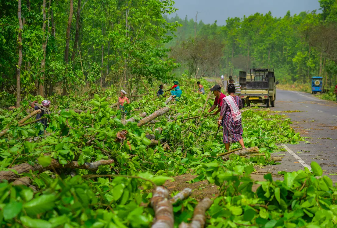 One Dead, 2 Injured in Landmine Explosion in Mulugu Forest