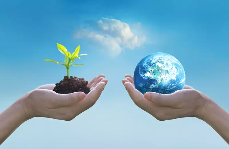 World Environment Day 2024: Government Initiatives and Industrial Collaboration for Environmental Protection