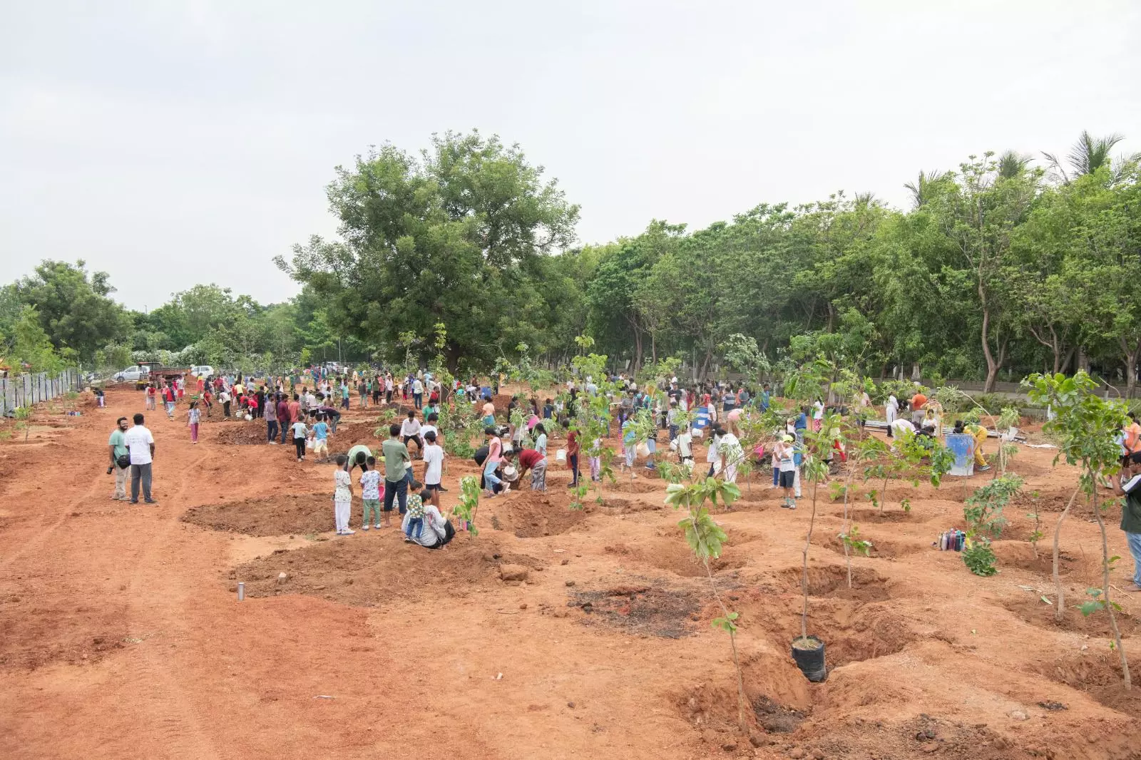 World Environment Day observed at Kanha Shanti Vanam