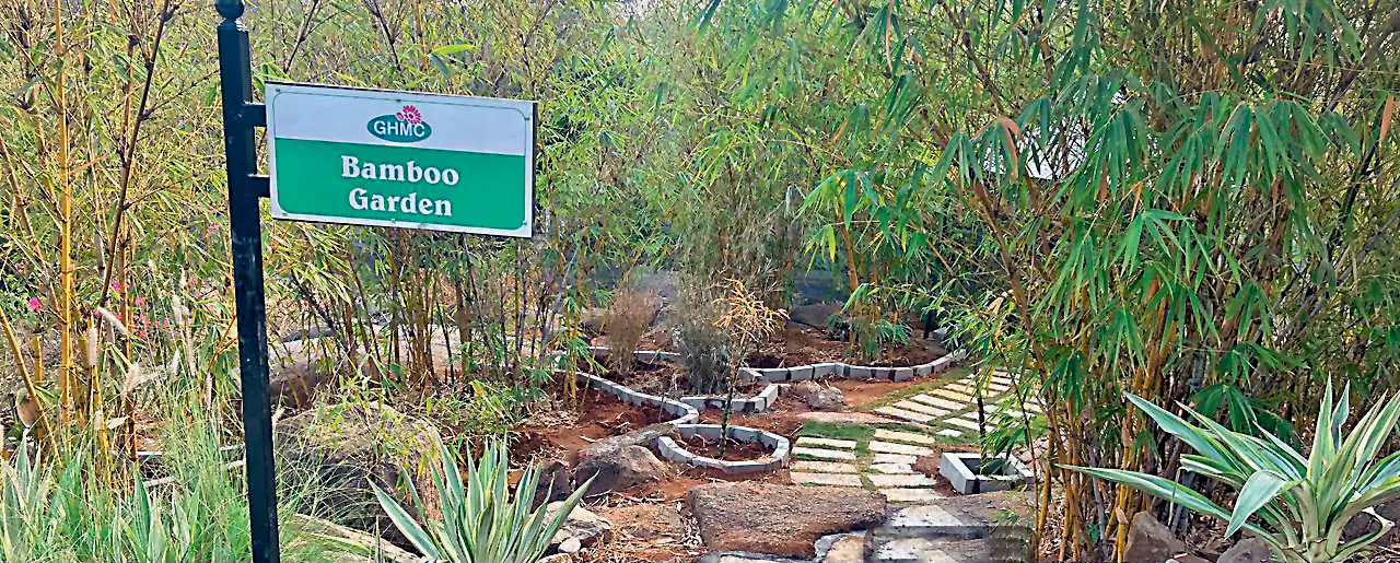 GHMC Initiates Revamp Plan for KBR National Park