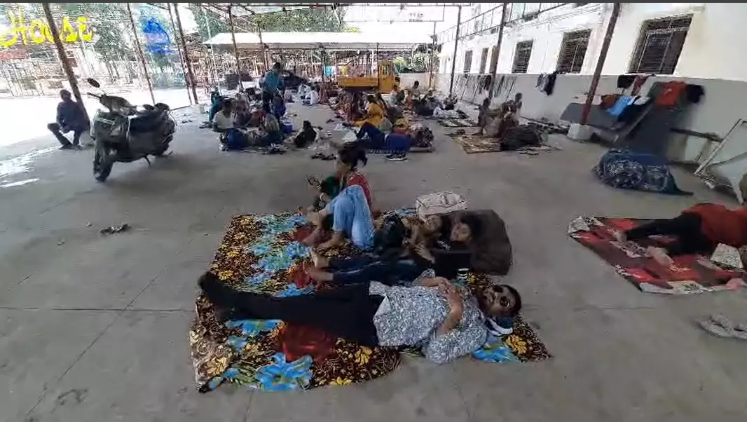 Heavy rush for fish prasadam at exhibition grounds