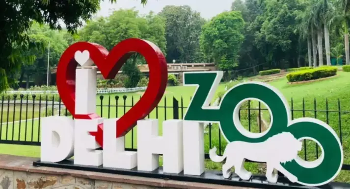 Delhi Zoo Transformation: New Animal Species; Enhanced Visitors' Experience