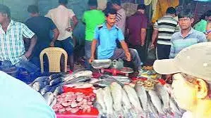 Mrigasira Karti jackpot: Fish markets record sale of 10 tonnes