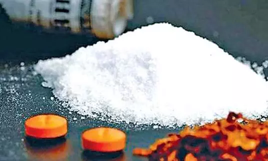 Hyderabad: Excise Cops Seized 25 LSD Blots