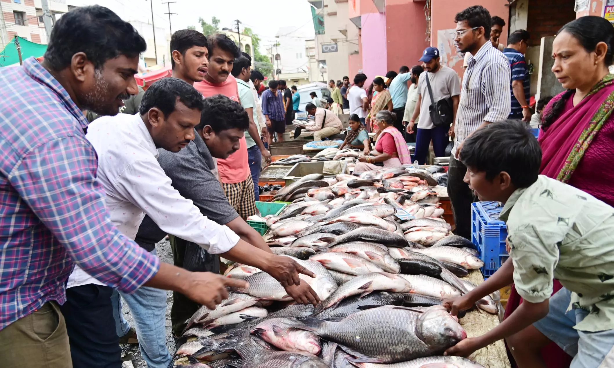 Fish Prices Sky Rocket on Mrigasira Karti Day