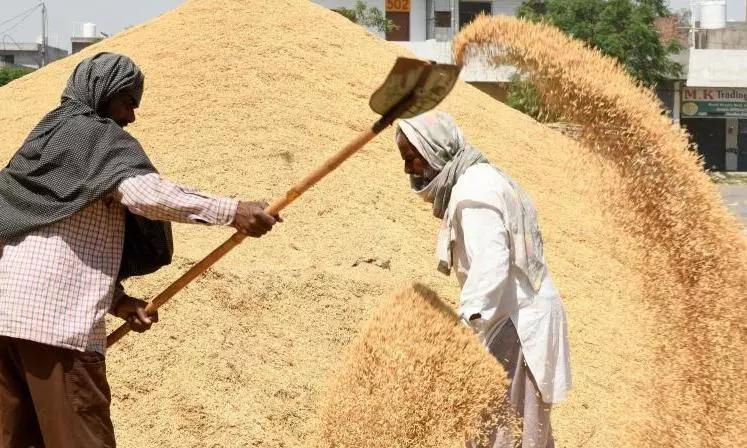 Telangana Congress Govt Sets Record in Grain Procurement