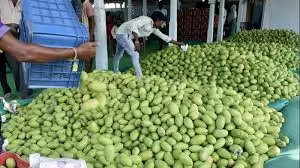 Raw mango market was quite satisfactory this season