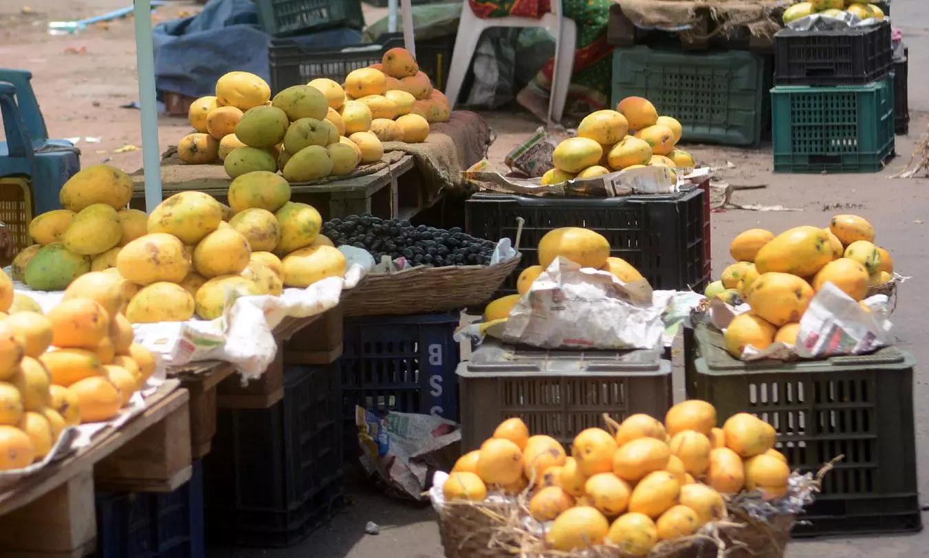 Mango Buyers Told to Pay Minimum Price