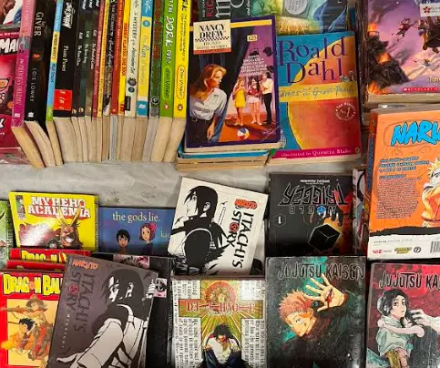Hyderabad gets hooked on to manga comics