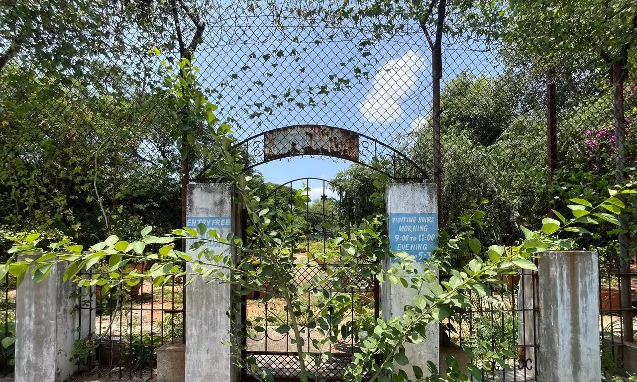 Hyderabad: Once Hugely Popular Butterfly Park Remains Forsaken