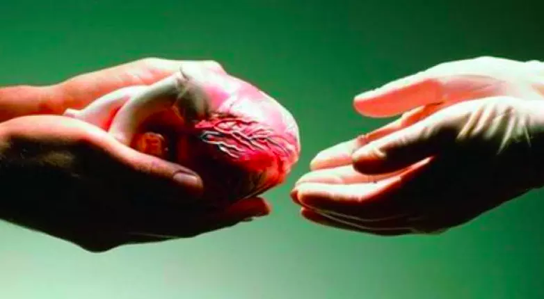 Rise in demand for organ transplants, 3,697 patients in queue