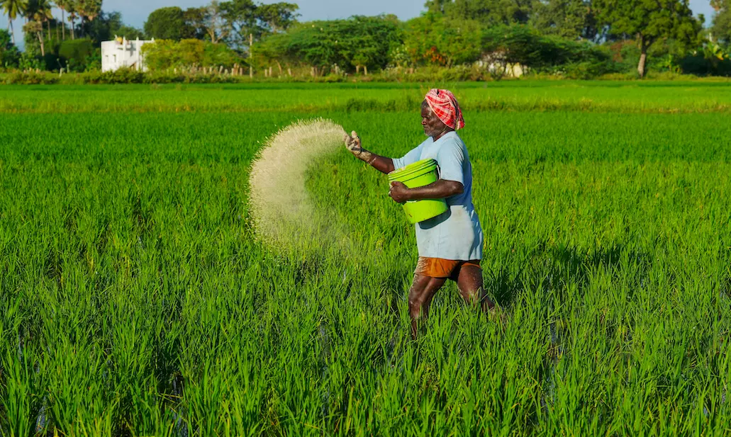 Lower input, energy costs to bring down fertilizer subsidy requirement